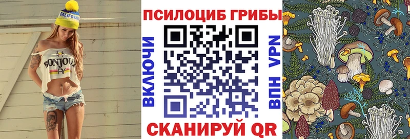 Галлюциногенные грибы MAGIC MUSHROOMS  что такое   Чишмы 
